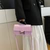 2025 New Versatile Women's Handbag, Simple and Fashionable Small Square Bag, French Casual Crossbody Bags