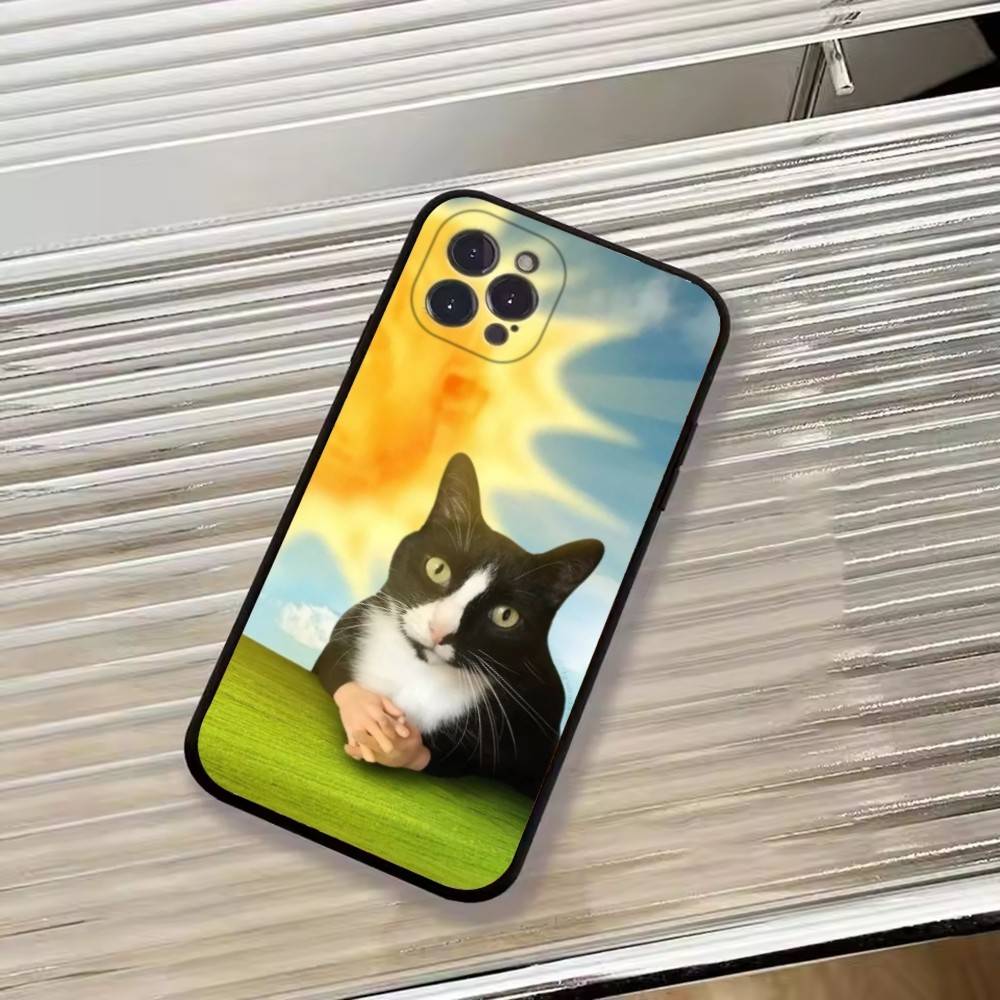 F-Lustige Tierkatze Handyhülle Silikon Weich Für IPhone 17 16 15 14 13 12 11 X XR Plus Pro Max Plus