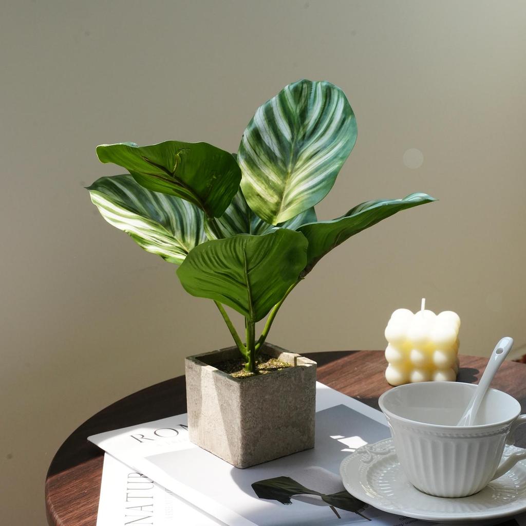 Artificial Turtle Back & Caladium Leaf Plants - Small Potted Decorations for Office, Living Room, or Coffee Table