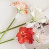 22" Real Touch Künstlicher Amaryllis-Strauß Langer Stiel Seidenblume mit 2 vollen Blüten und 1 Knospe für Haus Büro Vase Blumengestecke
