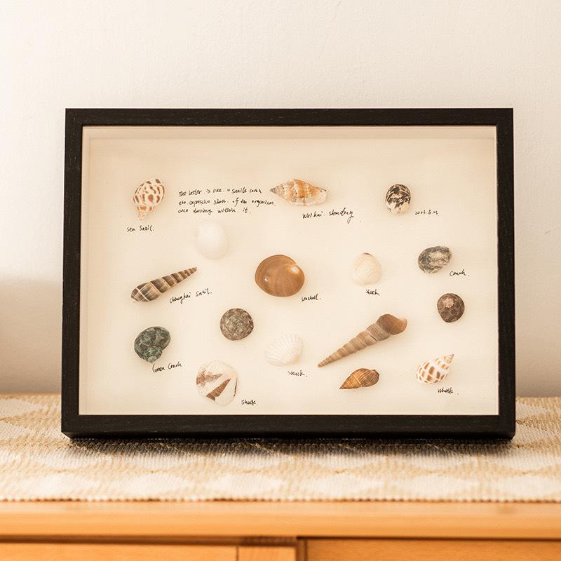 Handmade Seaside Shell Conch Photo Frame - Minimalist Square Design