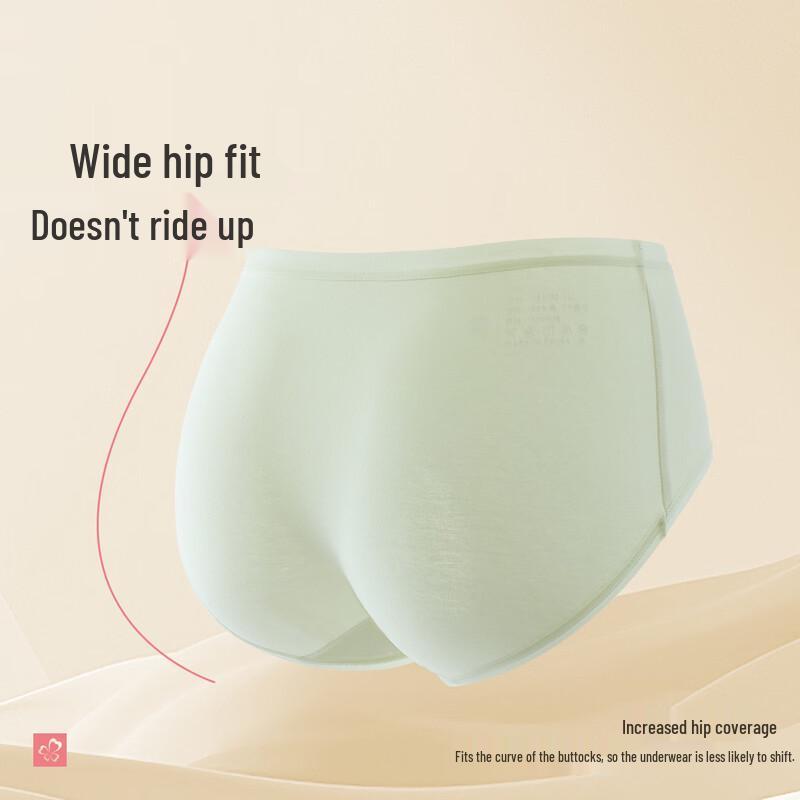 Urban Lady Women's Cotton Seamless Antibacterial Mid-Waist Briefs (4-Pack)