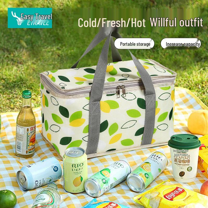 Etravel Foldable Insulated Travel Storage Bag