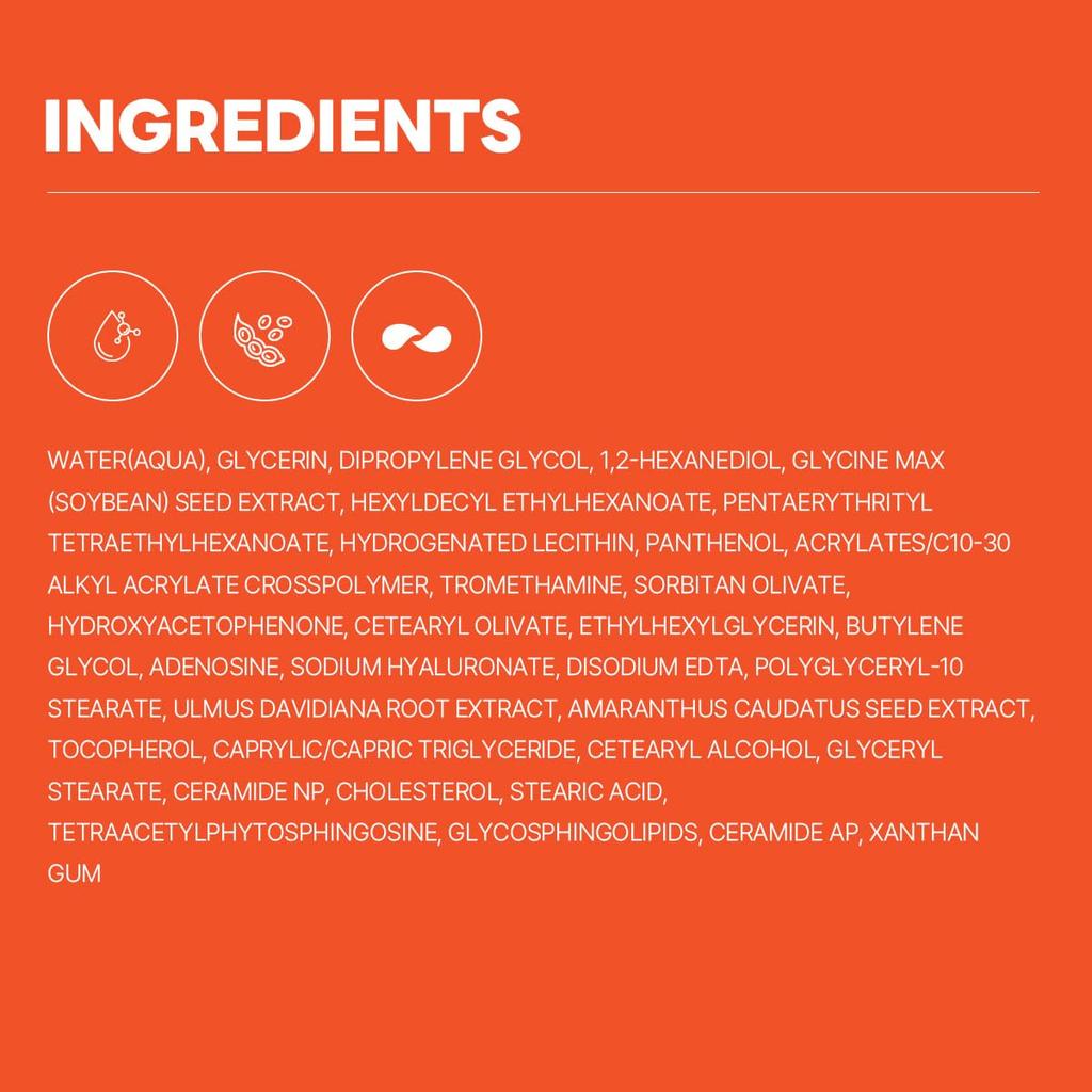 ROUND LAB Soybean Panthenol Ampoule 50ml