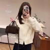 Korean Style Solid Color Stand-Up Collar Women's Cardigan: Autumn/Winter Soft Double Zipper Knitted Coat