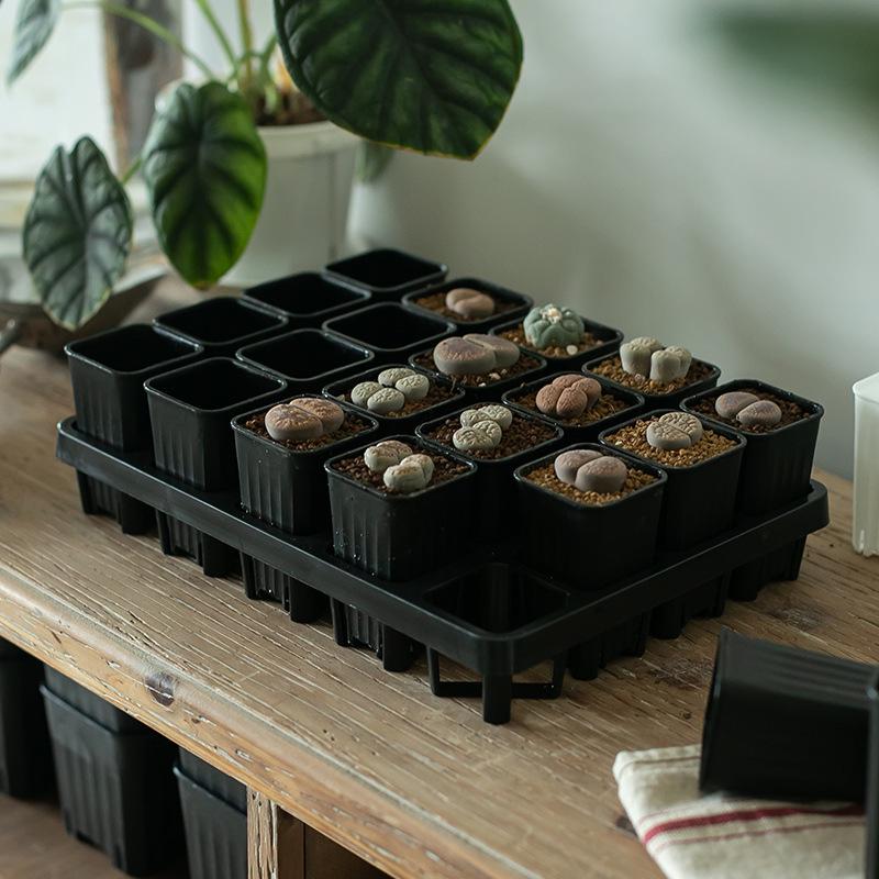 Small Black Square Succulent Seedling Tray - Thickened Plastic Pot Stand & Water Catcher