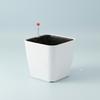 Mini Square Plastic Planter With Self Watering System For Succulents And Small Plants