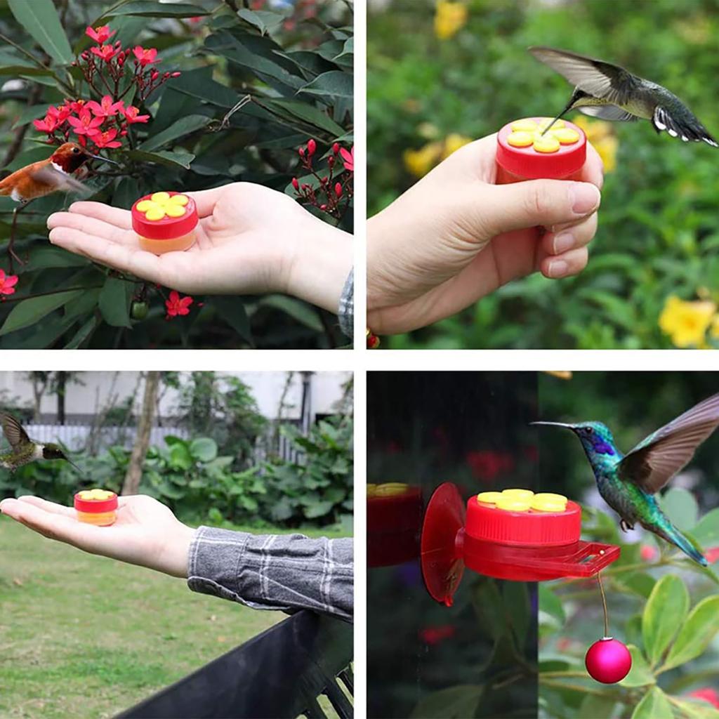 Buy Multifunctional Mini Hummingbird Feeder Outdoor Window Suction Cup