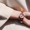 Daniel Wellington ICONIC Series Watch Quartz Movement Pink Dial Women's Watch Fashion DW00100370