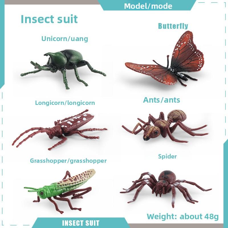 

Simulated Wild Insect Butterfly Shoes Spider Dragonfly Model Ornament Set For Educational Displays And Collectors 6pcs