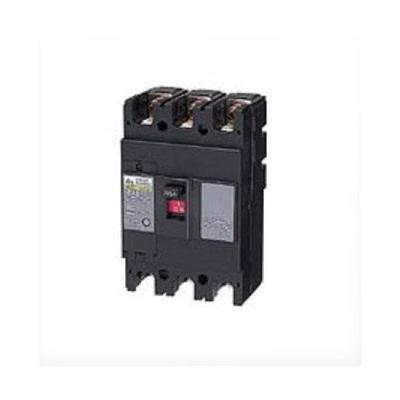 Nitto Kogyo NE52A 2P 30A Economical Surface-Mounted Circuit Breaker (NE52A2P30A)
