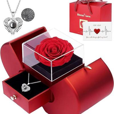 Herzförmige Projektionskette mit Zirkon, "Ich liebe dich" in 100 Sprachen - Perfektes Geschenk für Weihnachten oder Geburtstag.