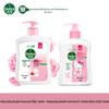 Moisturizing Antibacterial Hand Soap Combo Pack