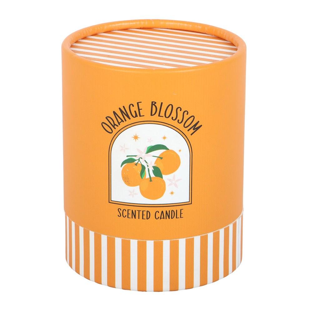 Something Different Orange Blossom Scented Candle