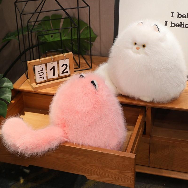 Cartoontoy Cat Plush White Soft Animal Doll Cloth Birthday Gift Decoration Home