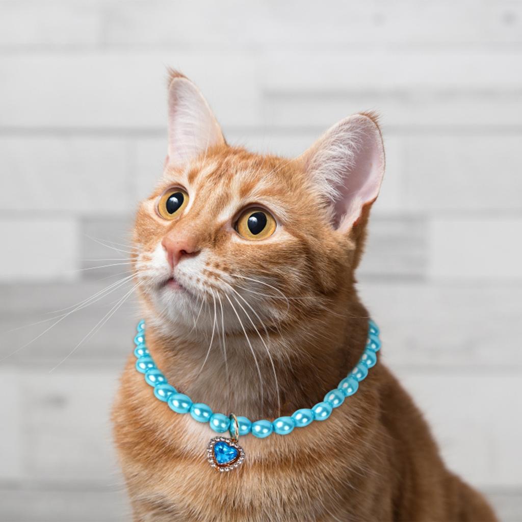 Dog Pearl Collar And Pet Pearl Necklace Set Pearl Collar