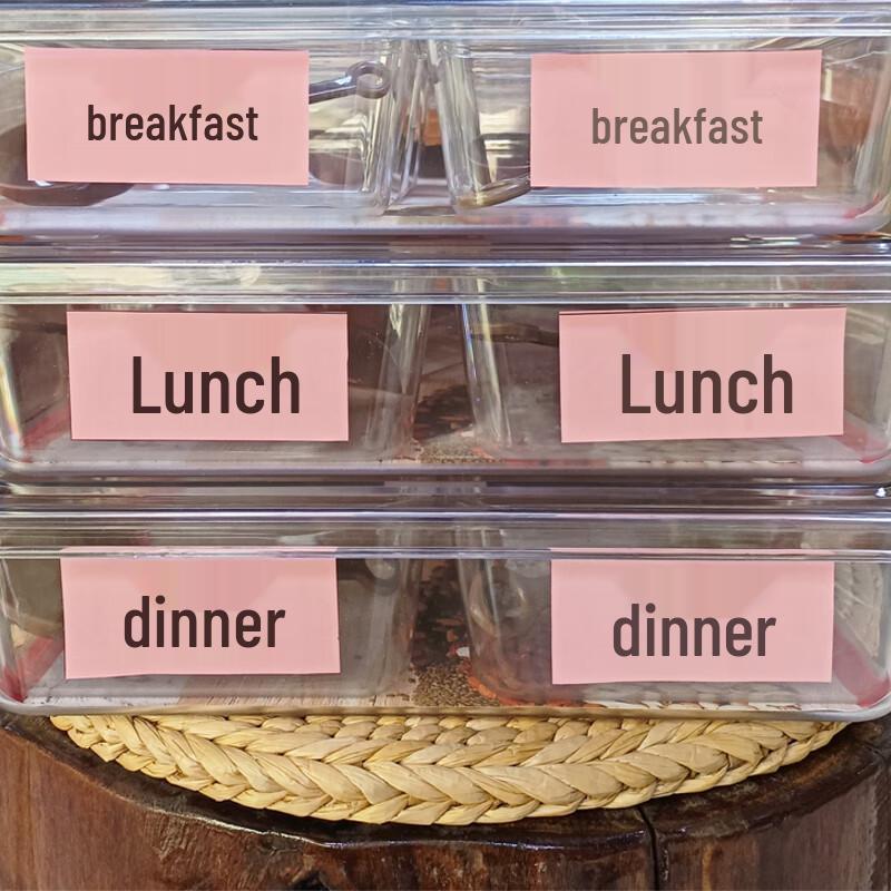 Transparent PC Food Portion Container