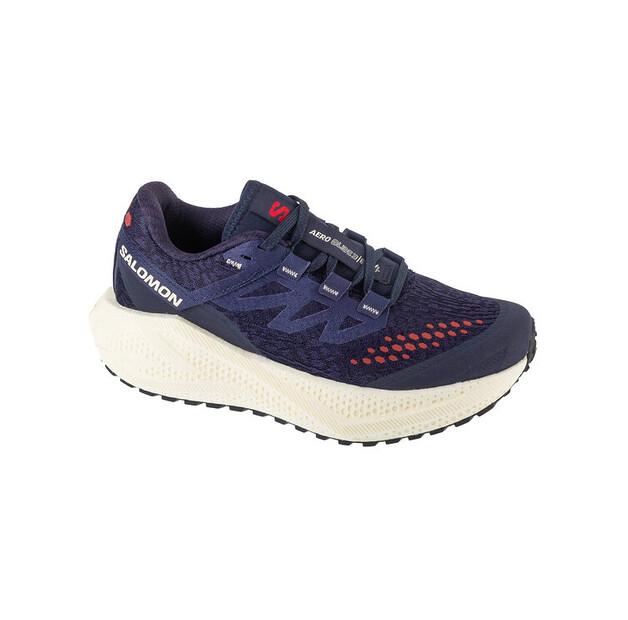Беговые кроссовки Salomon Aero Glide 3 GRVL EU 39_1_3