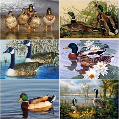 Vollbohrer Diamantmalerei Ente Bild von Strass Kreuzstich Kit 5d Diamantstickerei Tiermosaik handgefertigt