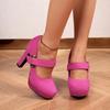 Women's Retro Style Round Toe High Heeled Pumps, Buckle Platform Block Heel Shoes, Women's Footwear