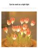 DIY Tulip LED Night Light Kit - Handmade Bedroom Ornament for Qixi Festival or Birthday Gift