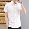 Men's Summer Short-sleeved Plaid Shirt Youth Handsome Slim Button Top