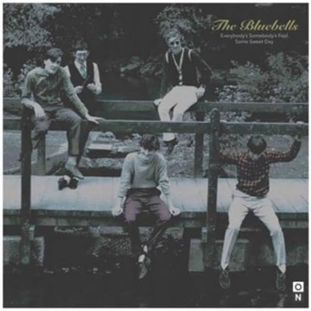 

7inch Record BLUEBELLS - Everybody s Somebody s Fool ON401 UK Rock