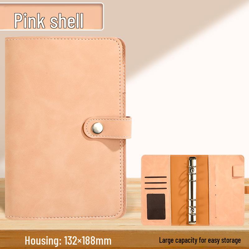 A6 Loose-Leaf Savings & Budget Book: 100-Day Challenge, Banknote Collection & Commemorative Planner