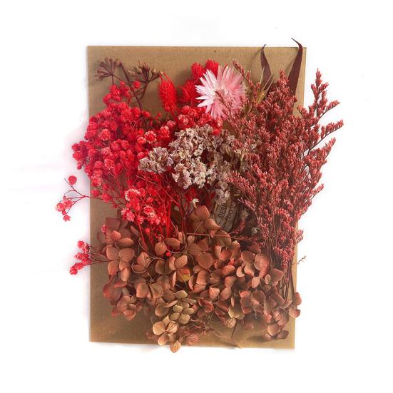 Nützliche Trockenblumendekoration, auffällige, leicht zu pflegende helle Farbe