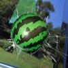 Broken Glass Window Stickers, 3D Prank Glass Window Stickers | Vista Printed Watermelon Hit