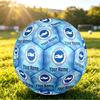 Personalized Size 5 Football Brighton & Hove Albion Football Pattern Outdoor Game Sports Ball Gift