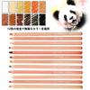 12 Zerodis Pastel Professional Color Charcoal Pencils Portrait Pastel Pencils for Layering and Pencils, Sketching, Shading, Coloring, Blending.