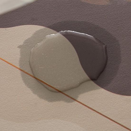 Roses Bathroom Rug Super Absorbent Diatomaceous Earth Bath Mat Non-Slip Door Mat Floral Floor Mat for Kitchen Entrance Shower