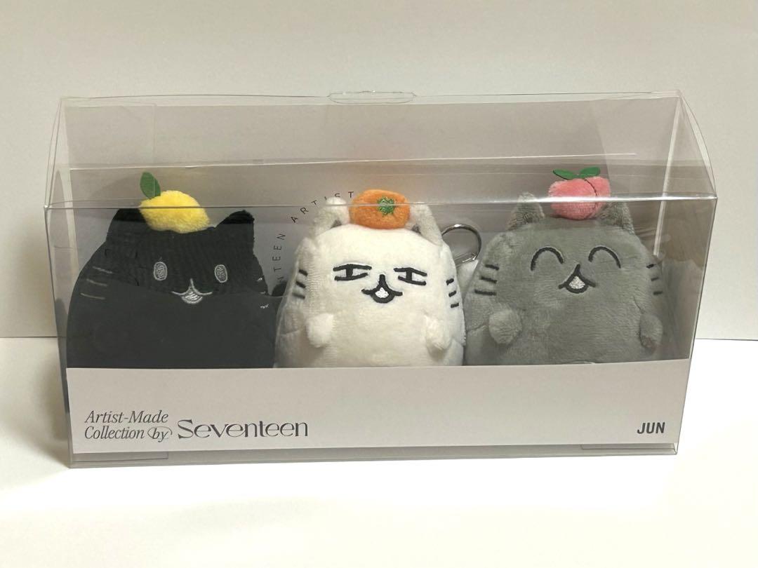 

[USED] SEVENTEEN Artist Made Jun OCL Plush Toy