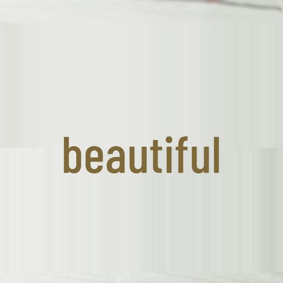 Hemei Natural Horn Comb for Ladies - Scalp Massage & Pointed Tail Design