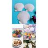 Summer Parties 2\\\'\\\'-3\\\'\\\' DIY Craft Shells Creative Decoration Ideas For Parties Ornament Natural And Safe Shells