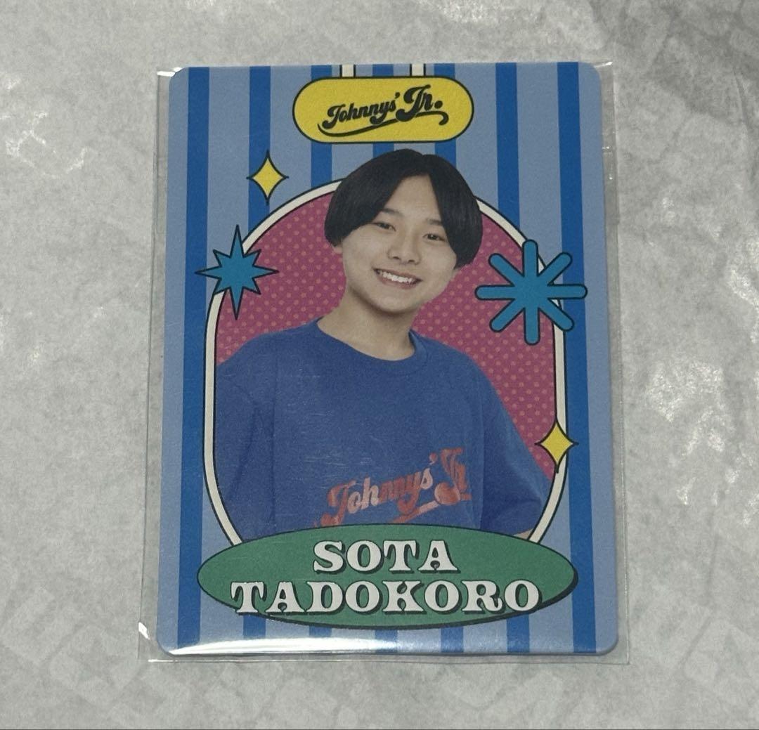 

[USED] Sodai Tadokoro Profile Card