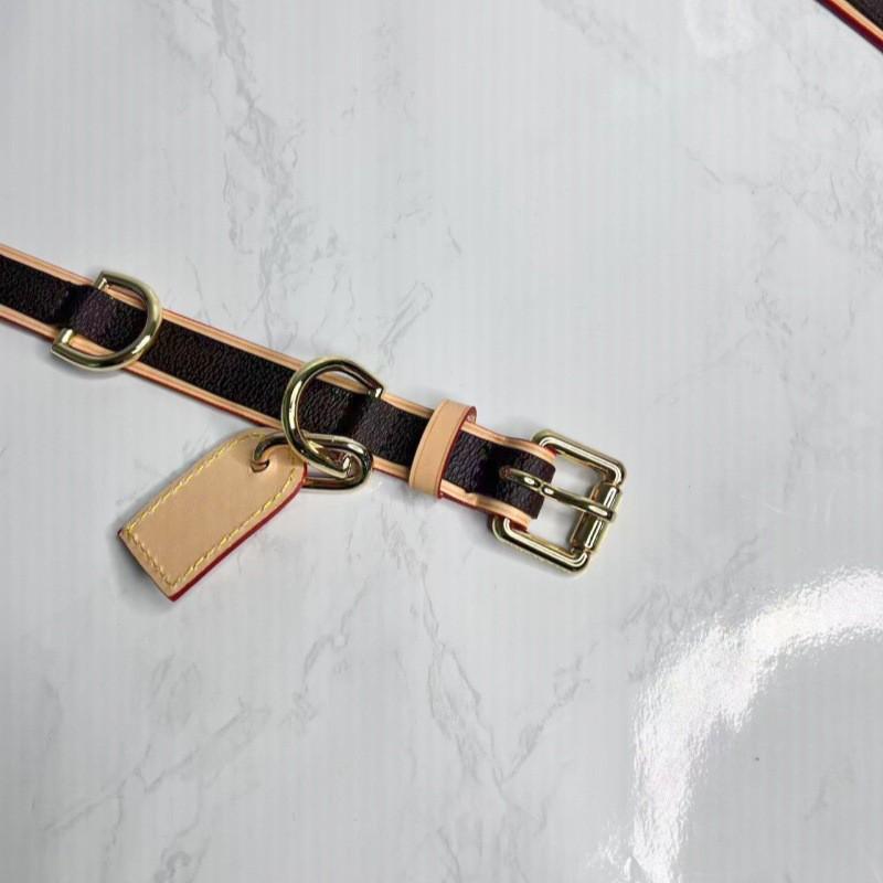 Dog Collar Leash Set Small Medium Dogs Cats Leather Pet Chain Fashion Accessory