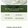 STEAMBASE - Tea Tree Scalp Healing Tonic