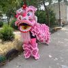 Traditional Lion Dance Costume Set