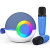 Accesorii audio și video – Microfoane