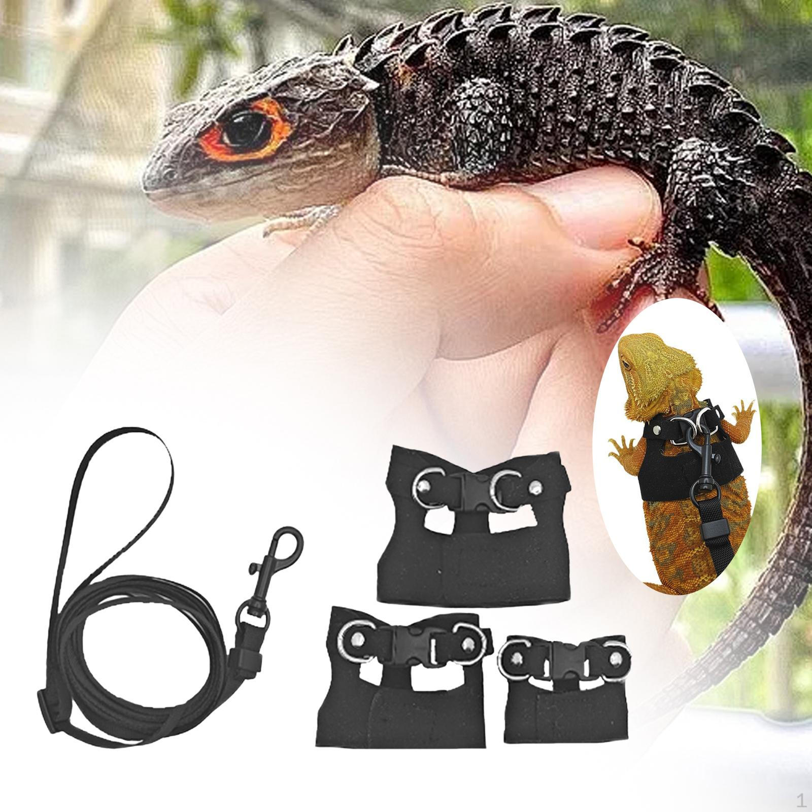 

Многофункциональный поводок и шлейка для рептилий, идеально подходит для мелких лазающих существ чёрный