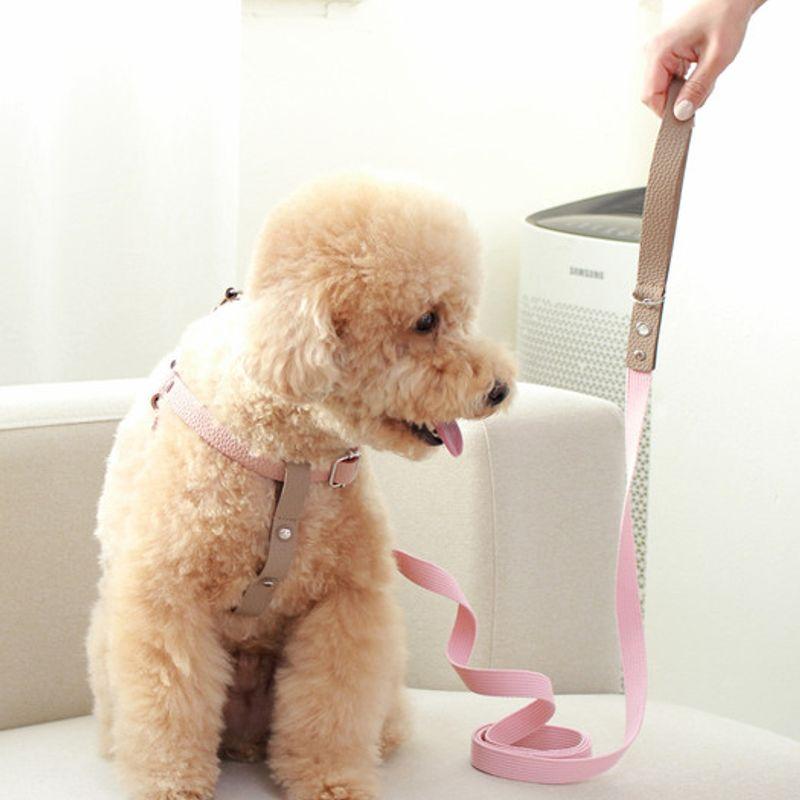 MAISON DE MIU Laufleine aus Leder und Gurtband Braun/Pink