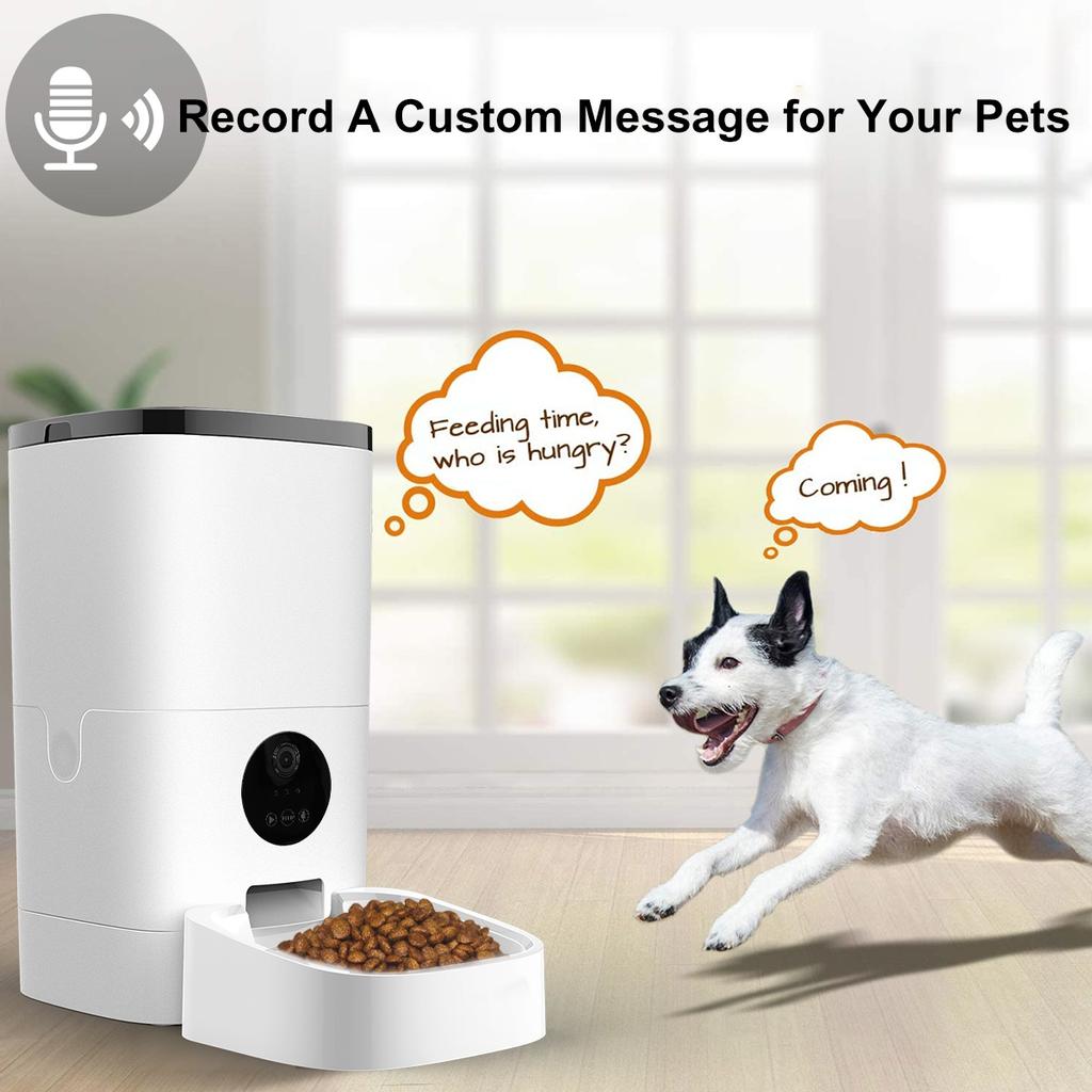 7 day pet feeder