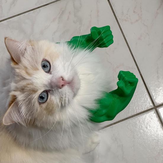 Braț Muscular de Pisică Braț de Gât Imprimat 3D cu Mușchi Animal de Companie Accesorii Costum Cosplay pentru Halloween Consumabile pentru Petrecere de Ziua de Naștere