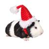 Kitty Hamster Party Supplies Christmas  Decorations Head Accessories Santa Claus Cap Costume Decor Pet Christmas Hat Cat Hat