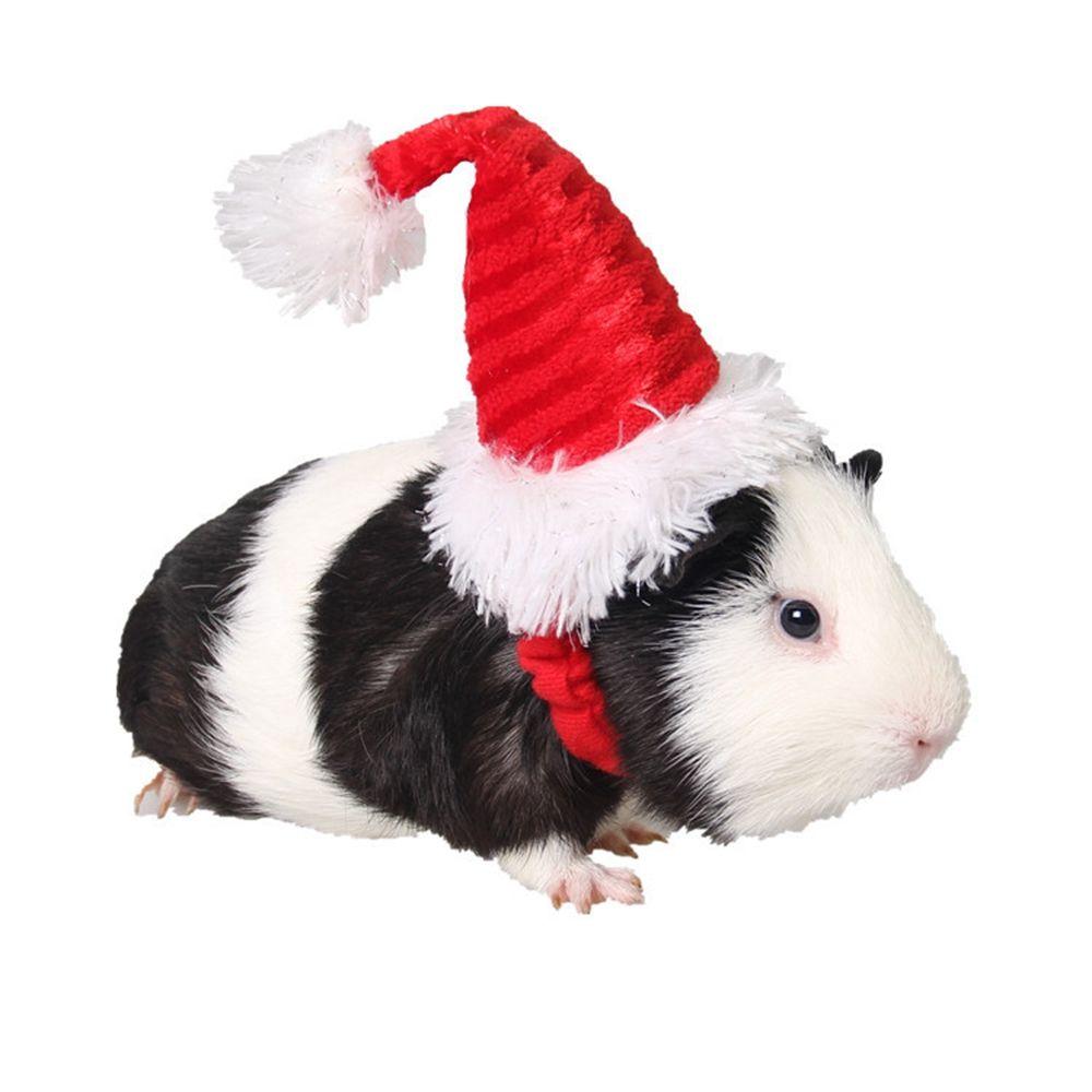 Kitty Hamster Party Supplies Christmas  Decorations Head Accessories Santa Claus Cap Costume Decor Pet Christmas Hat Cat Hat