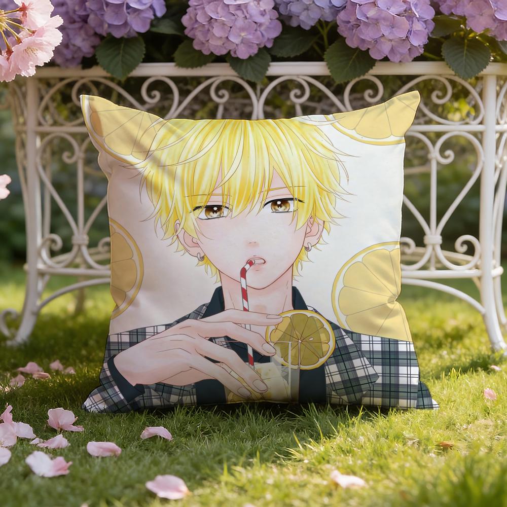 H-Honey L-Lemon Soda Cushion Cover Home & Car Dual-Scene Pillow Cover: Reversible for Premium Comfort