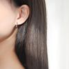 Bramble Branch Ear Buckle Women's Korean Version Trend Mori Earrings Japanese and Korean Personalized Light Luxury Earrings