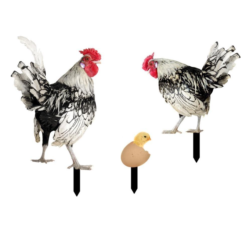 

Acrylic Chicken Stake Garden Decoration Outdoor Art